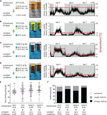 Light and Temperature Synchronizes Locomotor Activity in the Linden Bug, Pyrrhocoris apterus